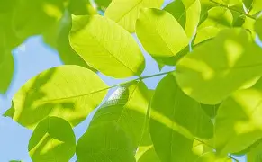 最新:Ning打入12粒点球(ning为什么不打比赛了) 最新:Ning打入12粒点球(ning为什么不打比赛了)