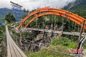 官方：李娜每场比赛都会看(李娜得冠军的比赛视频在线观看)|Choice捕鱼娱乐